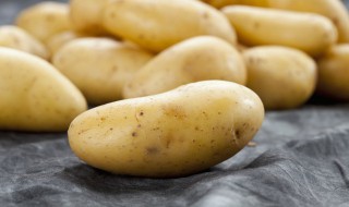 新土豆如何保存方法（新土豆怎么保存方法）