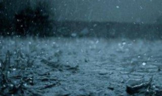 下雨之前的自然现象（下雨之前的自然现象怎么画）