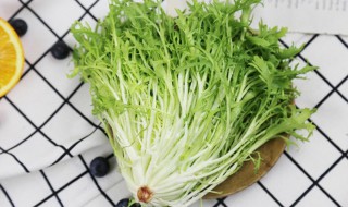 菊苣在农村叫什么（什么叫菊苣菜,长啥样?）