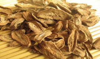 牛蒡是什么东西（牛的牛蒡是什么东西）