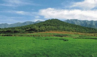 怎样看阴宅风水（怎样看阴宅风水墓地原则）