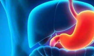 胃酸的主要作用 胃酸的主要作用包括