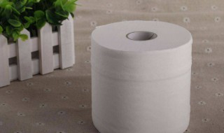 怎么用卫生纸做洗手巾（怎么用卫生纸做洗手巾教程）