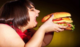 怎么长胖（怎么长胖十斤）