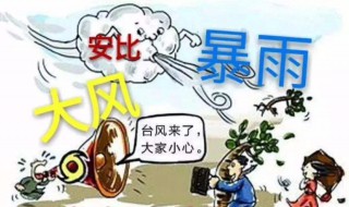 台风来了要怎么防范 台风来了要怎么防范措施