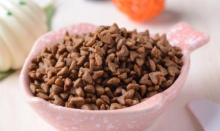 猫粮招蚂蚁怎么解决 猫粮引蚂蚁进家怎么办