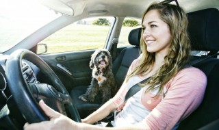 上高速晕车怎么解决 高速路晕车怎么办