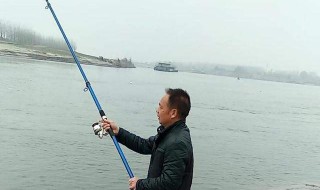 钓鱼线组搭配钓多大鱼 钓小鱼用多大线组