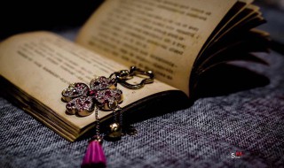 娘惹是啥意思 娘惹是什么?