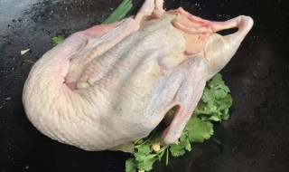 鸭子的拔毛方法（鸭子快速拔毛法）