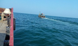 海洋捕鱼的方法（海洋里怎么捕鱼）