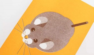 治老鼠的新方法（治老鼠的新方法有哪些）