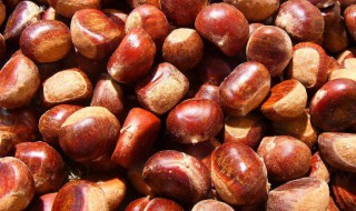 剥板栗壳的方法 剥板栗壳的方法有几种