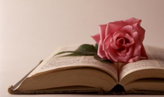 2020最火文案短句（2020最火文案短句女生）