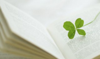 充满阳光的句子文案 阳光明媚文案句子