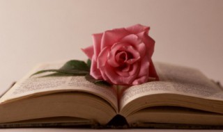 对生活感悟的美文摘抄（对生活感悟的美文摘抄大全）