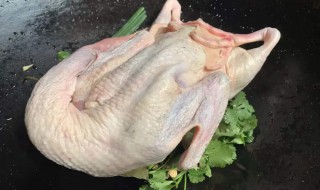 鸭子拔毛的好方法 鸭子拔毛的好方法图片