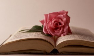 2020爆款文案（爆款文案2021）