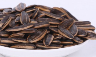 种小葵花籽的方法 如何种葵花籽