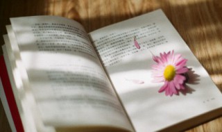 文艺有韵味的句子（文艺有韵味的句子简短）