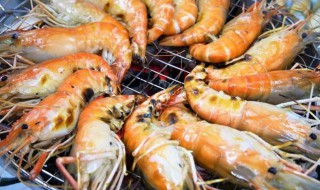 活虾运输的方法（活虾运输的方法有哪些）