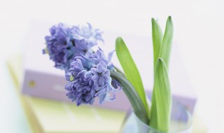 短句霸气激励人心押韵 短句霸气激励人心押韵句子