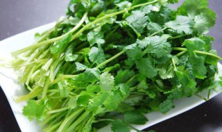 快速切香菜的方法 快速切香菜的方法窍门
