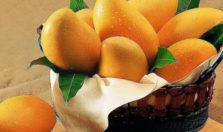 芒果的挑选方法 芒果的挑选方法和技巧