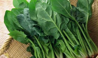 挑菠菜的正确方法（挑菠菜的正确方法）