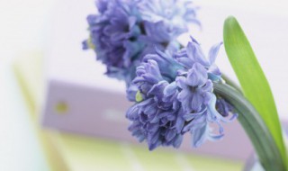 干净温柔签名短句（干净短句个性签名）