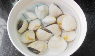 挖白贝的正确方法 挖白贝的正确方法视频