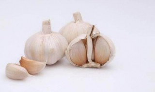 大蒜驱蚊最简单方法（大蒜驱蚊最简单方法视频）