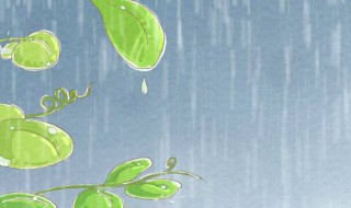 下雨防雨怎么解决 下雨防雨怎么解决的