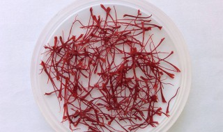 喝藏红花要忌口什么 喝藏红花要忌口什么食物