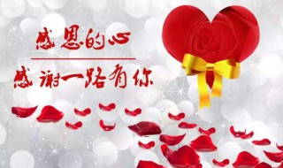 感恩节送老师什么礼物（感恩节送老师什么礼物最合适幼儿园）