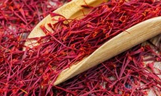 藏红花真假怎么鉴别 藏红花真假怎么鉴别方法