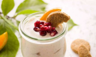 自己做酸奶用什么菌好 做酸奶用什么菌最好啊