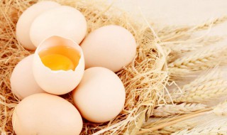 梦见捡鸡蛋（梦见捡鸡蛋是什么预兆 女性）