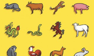 属鸡和属狗的适合做夫妻吗（属鸡和属猪的适合做夫妻吗）