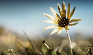 很霸气的句子 形容女人走路姿势很霸气的句子