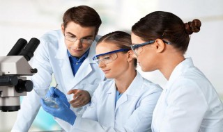 氨基酸主要功效与作用 氨基酸的作用与功效与作用是什么