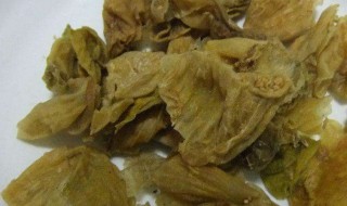 鸡内金片的功效与作用 鸡内金片的功效与作用和禁忌