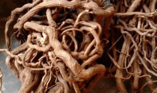 酸藤根的功效与作用 酸藤果根的功效与作用根