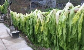 大量蔬菜要怎么保存 大量蔬菜如何储存