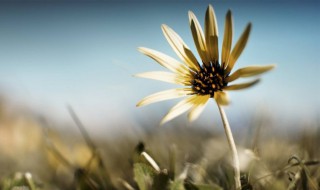 正能量简单一句话 正能量简单一句话 励志