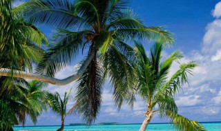 人生励志的句子 人生励志的句子经典