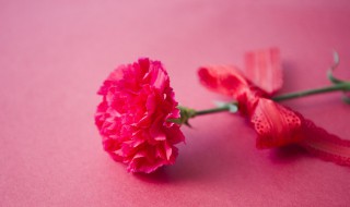 教师节适合送班主任什么花 教师节送老师适合送什么花