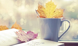 非主流的话 非主流伤感语录 葬爱繁体