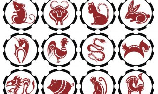 属鸡女和什么属相最配（93属鸡女和什么属相最配）