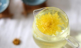 菊花泡水喝有什么好处 菊花泡水喝的功效与作用
